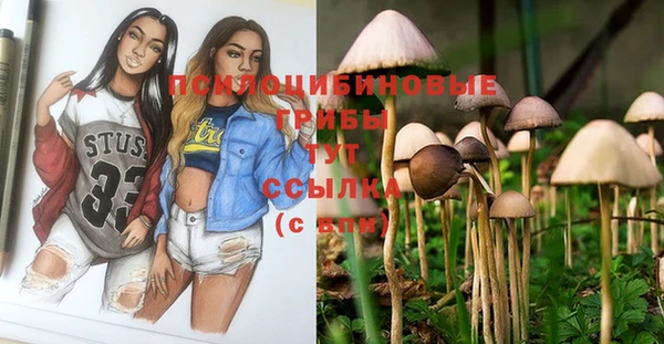 хмурый Баксан