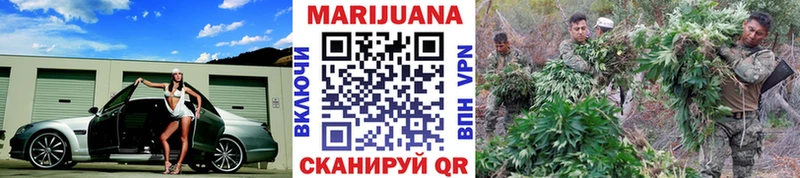 KRAKEN ССЫЛКА  Вичуга  Бошки марихуана Amnesia 